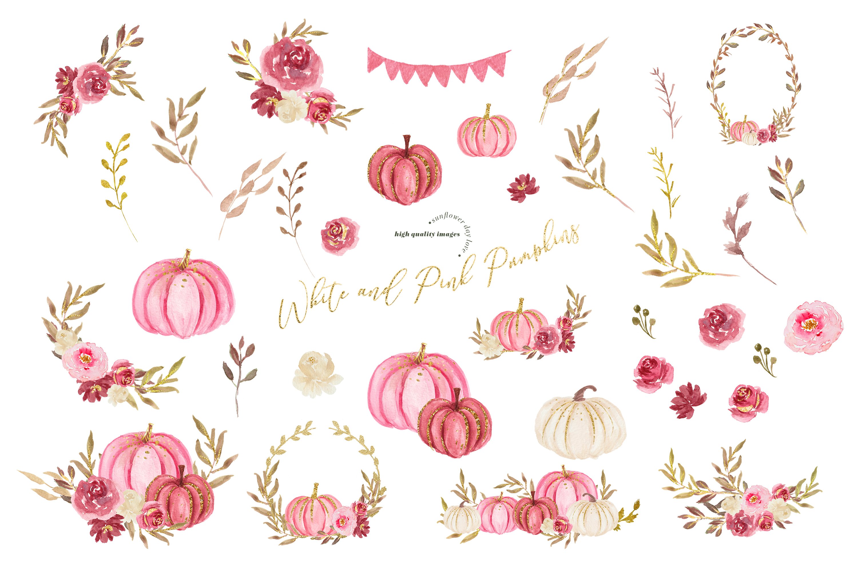 Diverse of pink pumpkins.