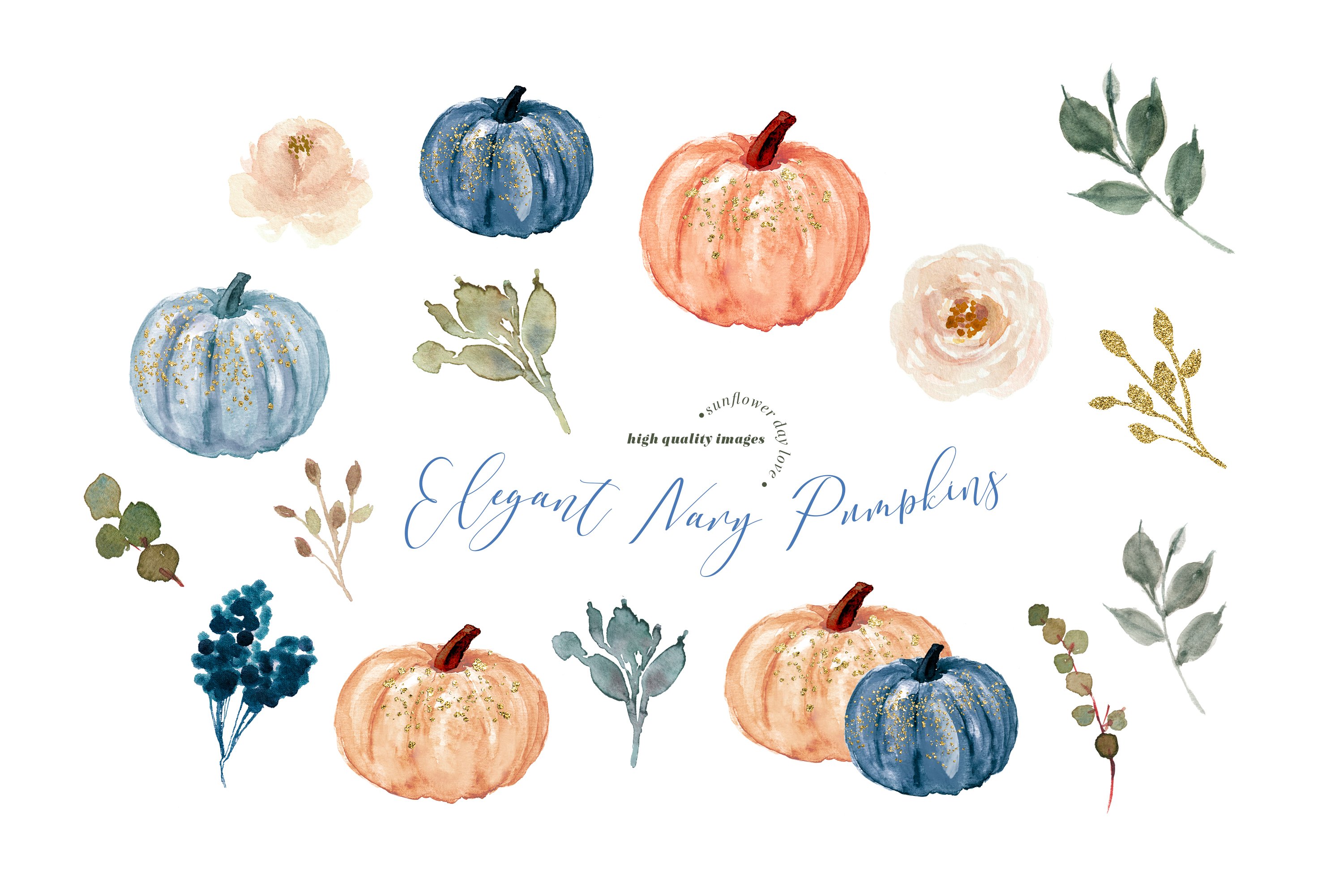 Diverse of pumpkins in a watercolor style.