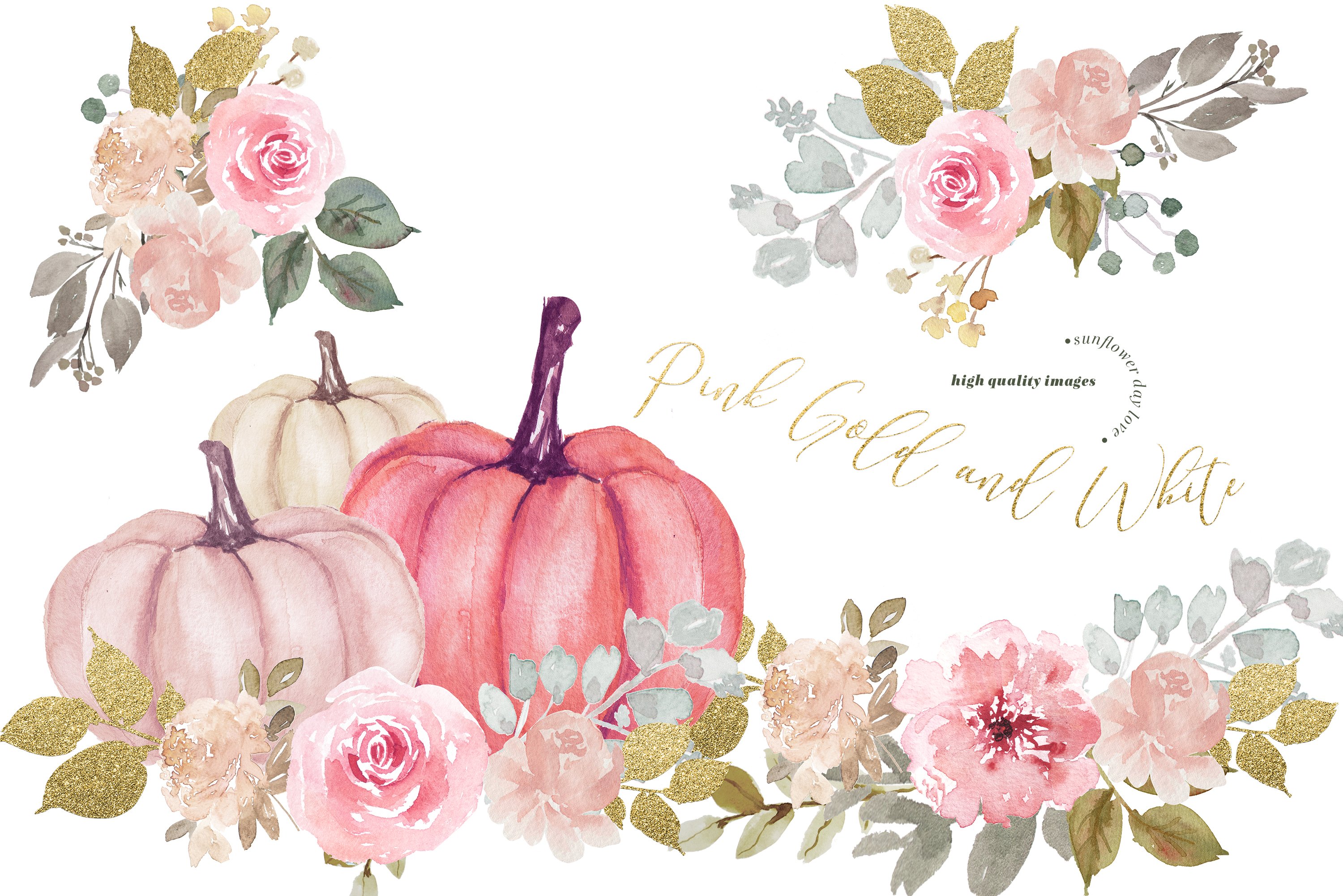 Pink flowers and pumpkins illustration.