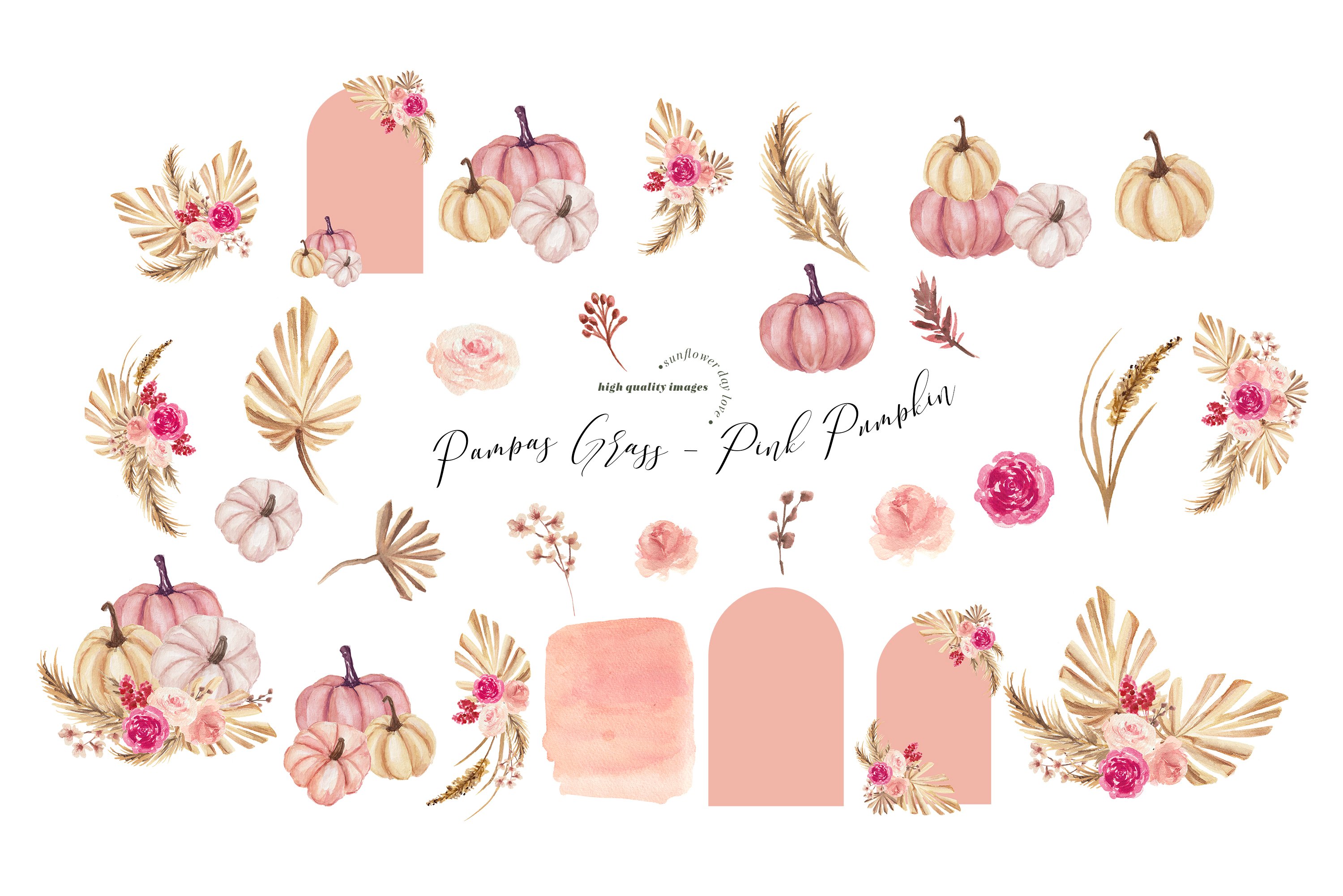 Pastel pumpkin illustrations.