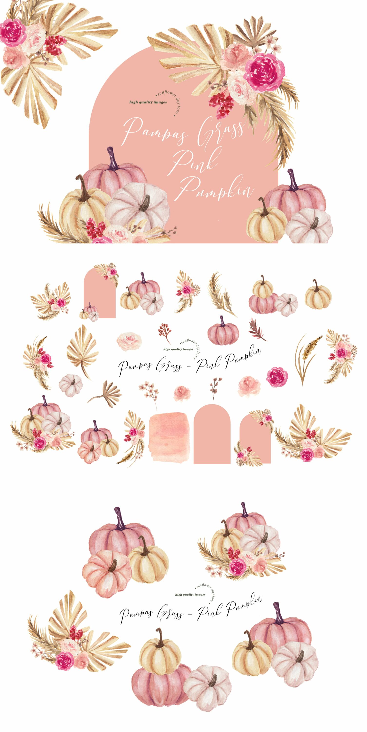 Use this delicate pumpkins for nice illustrations.