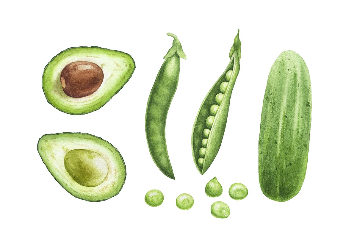 Watercolor avocado, cucumber and peas.
