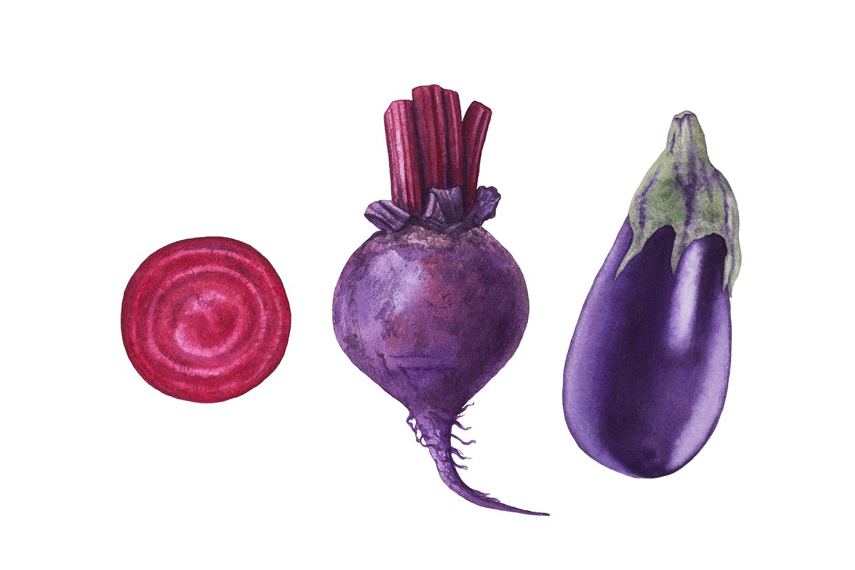Watercolor beetroot and eggplant.
