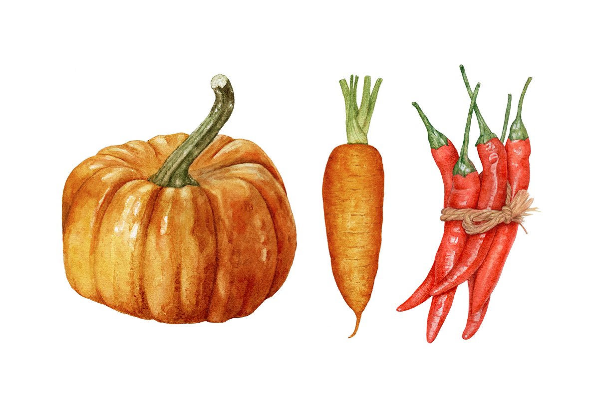 Watercolor pumpkin, carrot, pepper.