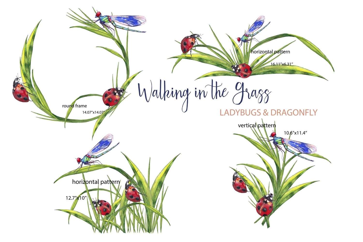 Ladybug in Grass, Sublimation, Lady Bug PNG, Insect Clipart