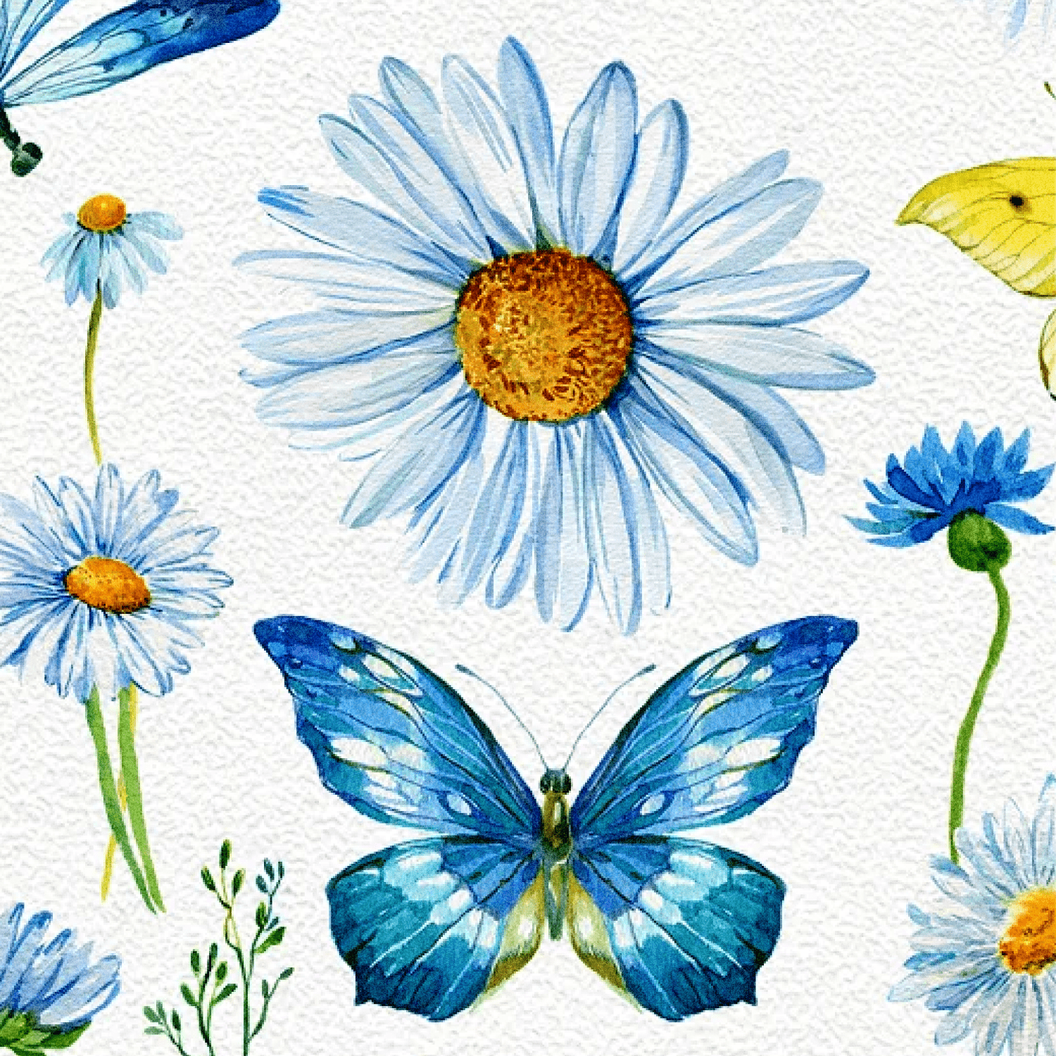 Daisy Clipart Watercolor created by MitrushovaArt.