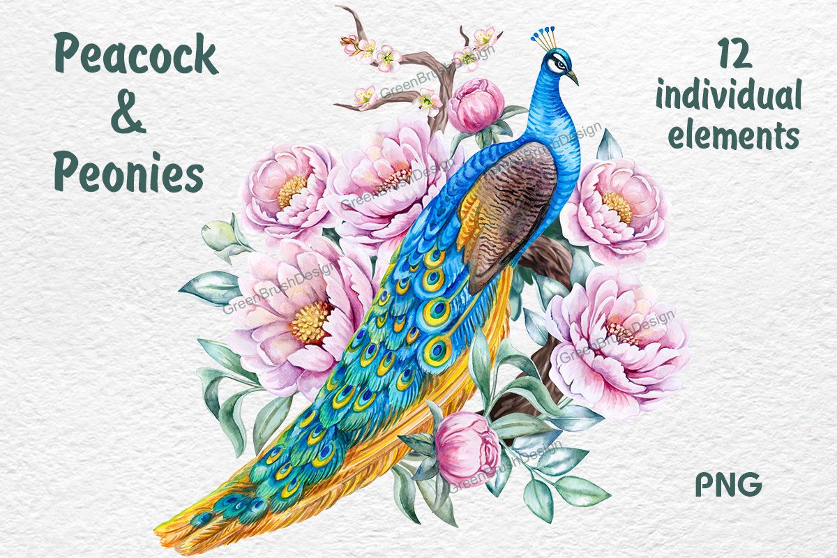 Peacock Pink Peonies Watercolor Clipart facebook image.