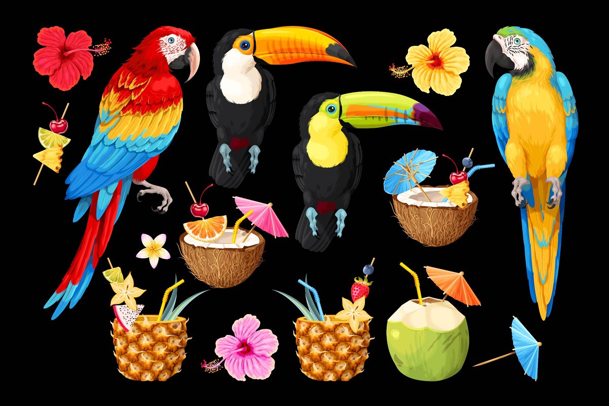 Macaw and Toucan colorful elements.