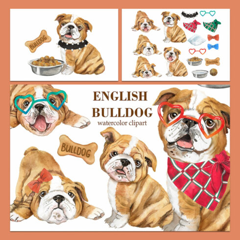 English bulldog watercolor clipart. Cute bulldog puppies.