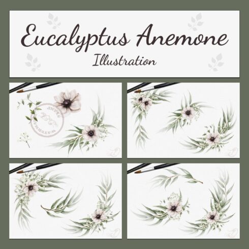 Eucalyptus Anemone Illustration.