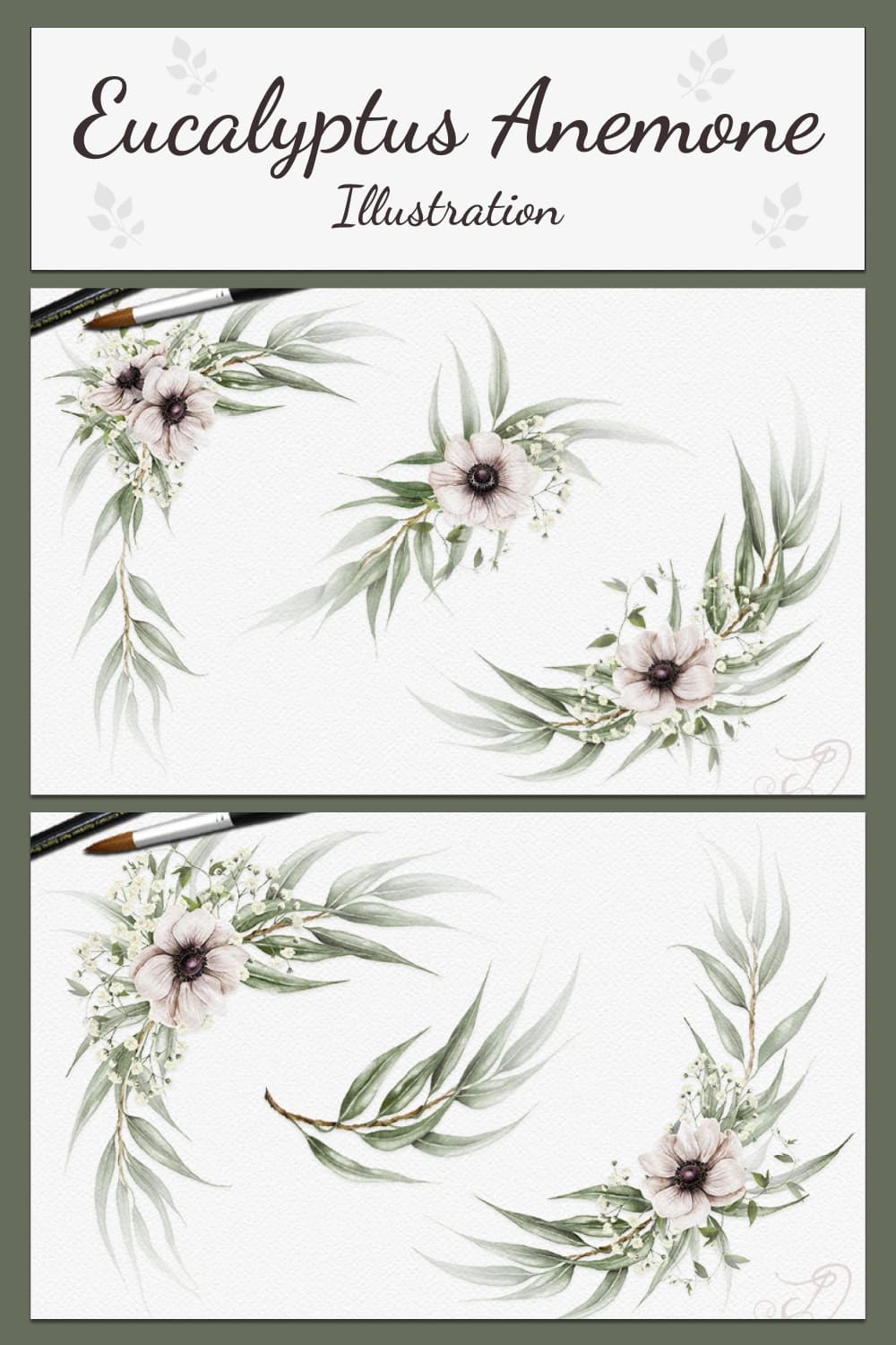 eucalyptus anemone illustration 03