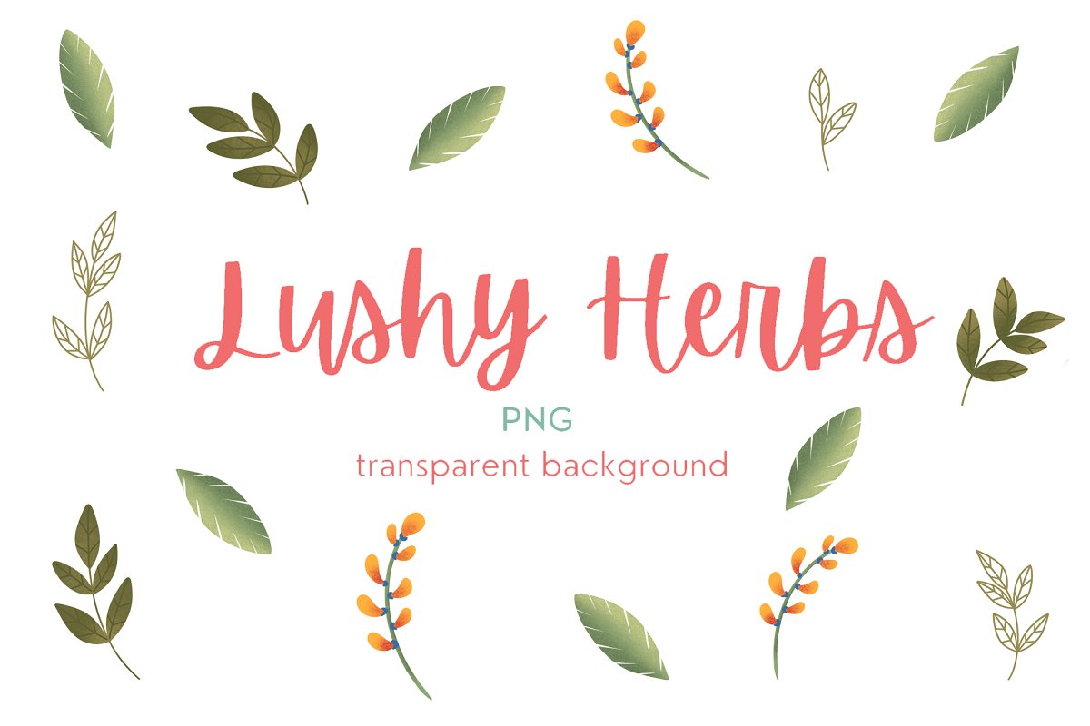 Lushy herbs elements.