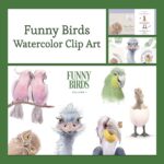 Funny birds. Watercolor clip art - main image preview.