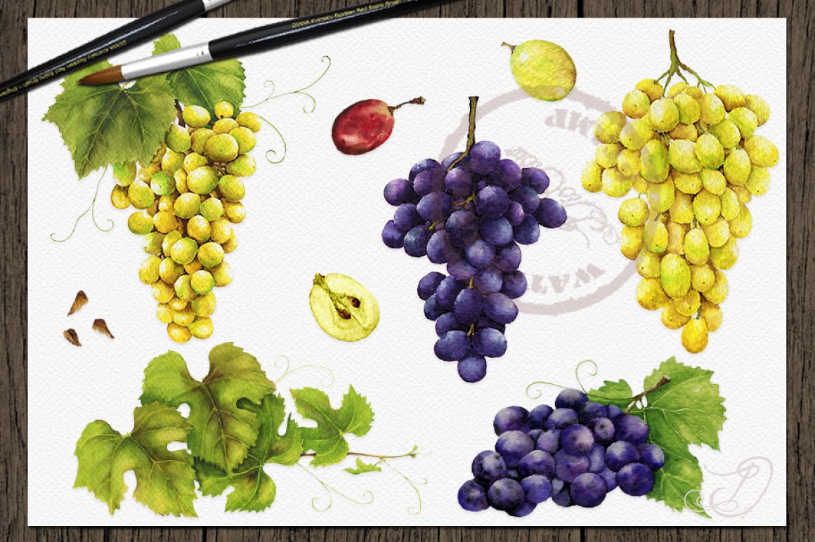 Realistic grapes in different colors.