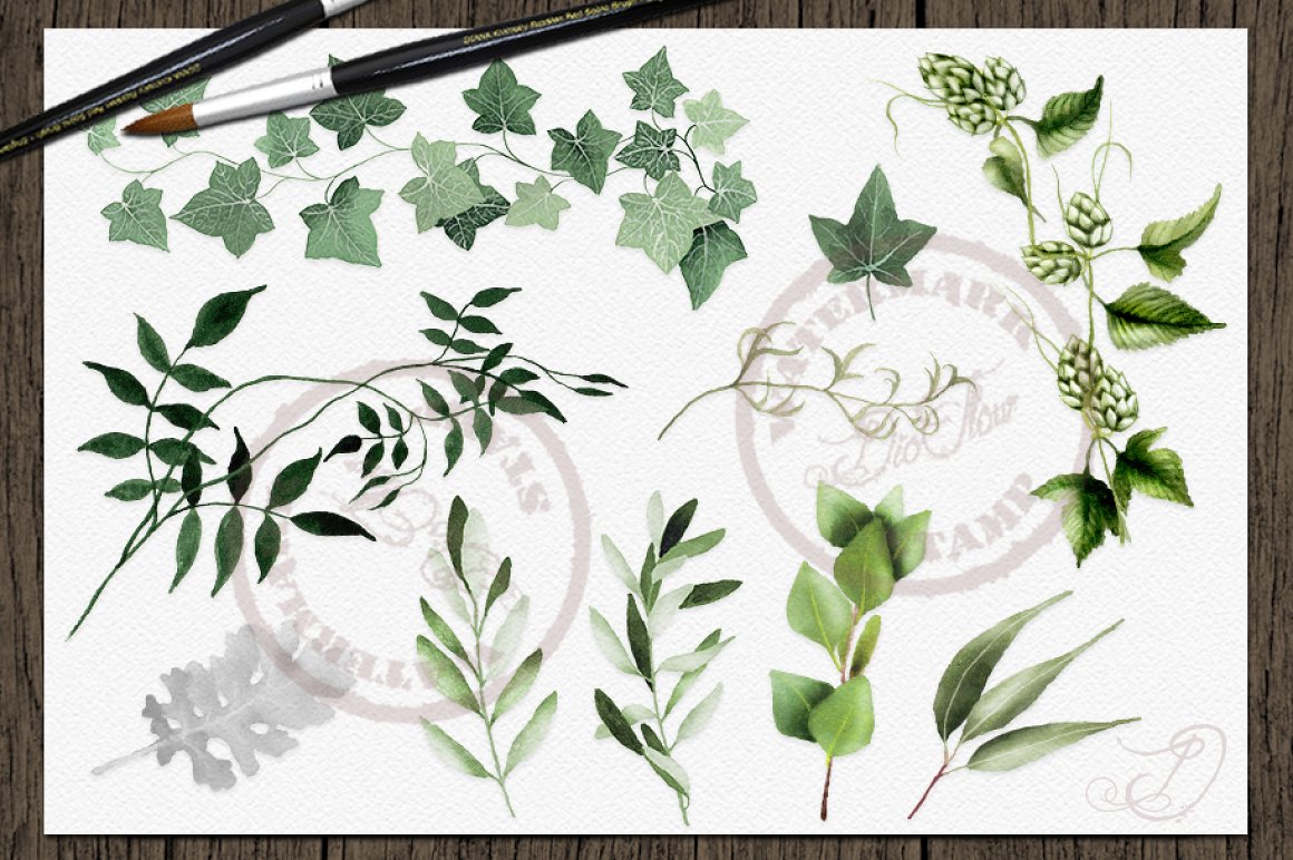 Delicate leaves for your project.