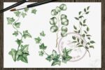 Greenery III Watercolor Illustration – MasterBundles