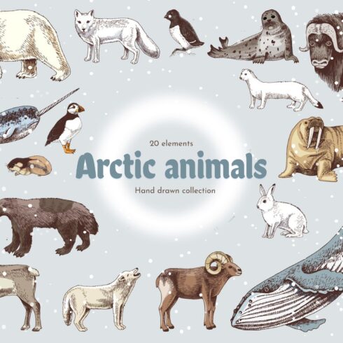 Hand drawn Arctic animals collection.
