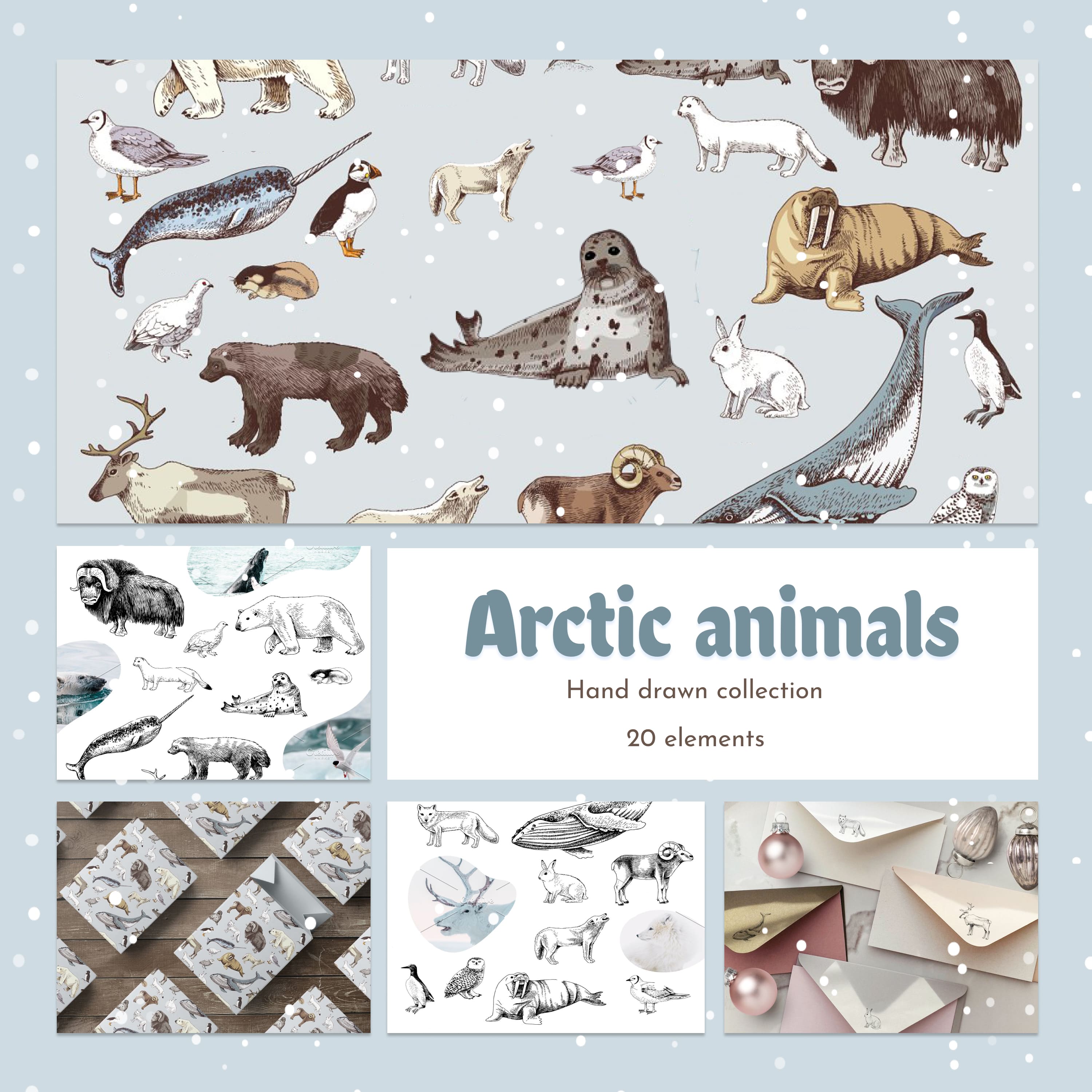 Hand drawn Arctic animals collection cover.