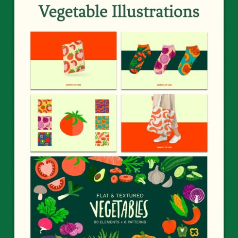 Hand-drawn Vegetable Illustrations | Master Bundles