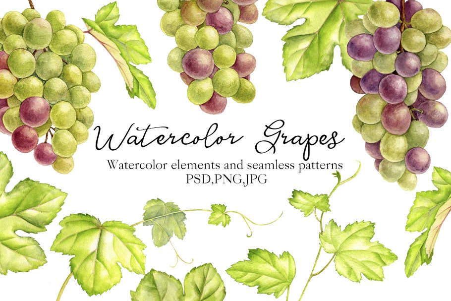 Cover image of Watercolor Grapes.