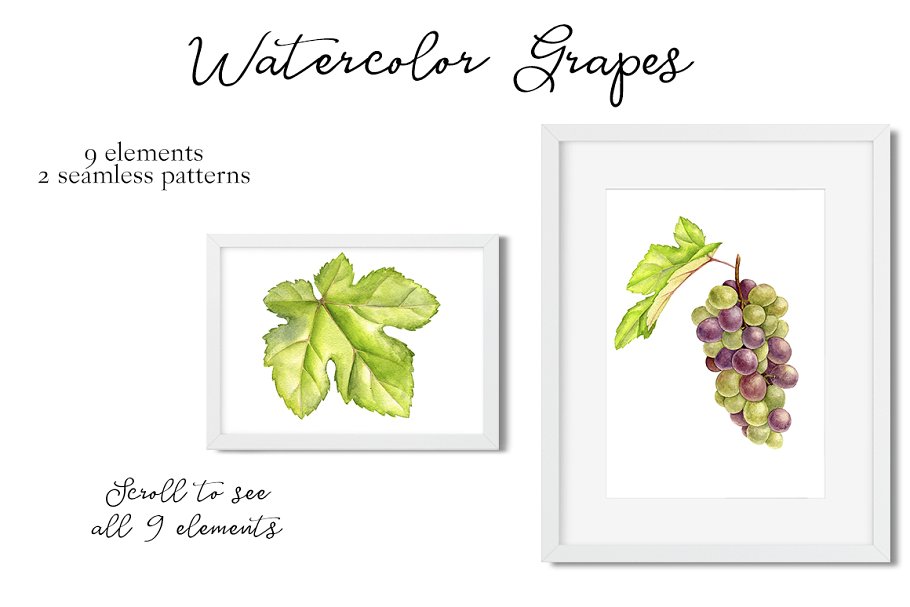 Grapes elements in photo frame.