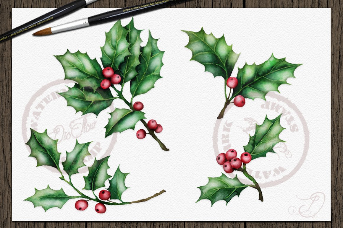 So cute watercolor holly with green leaves.