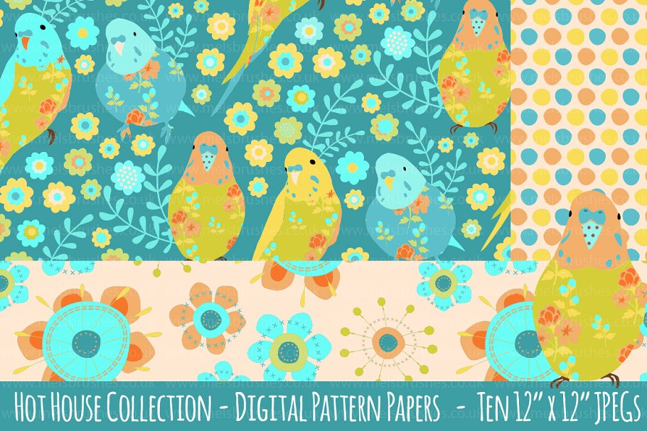 Cover image of Hot House Pattern Background Papers.