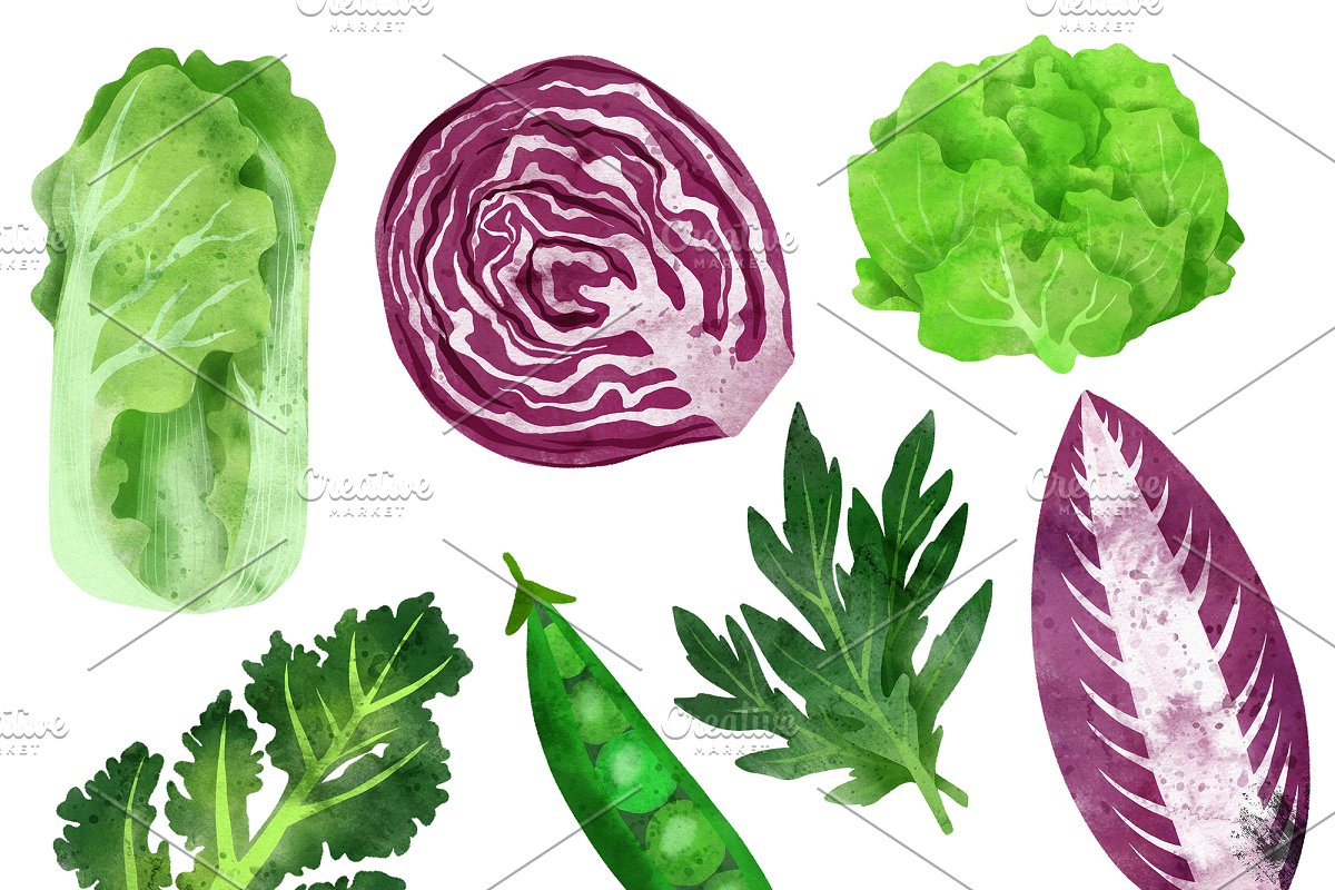 Perfect watercolor vegetables clipart to use in any food design projects.