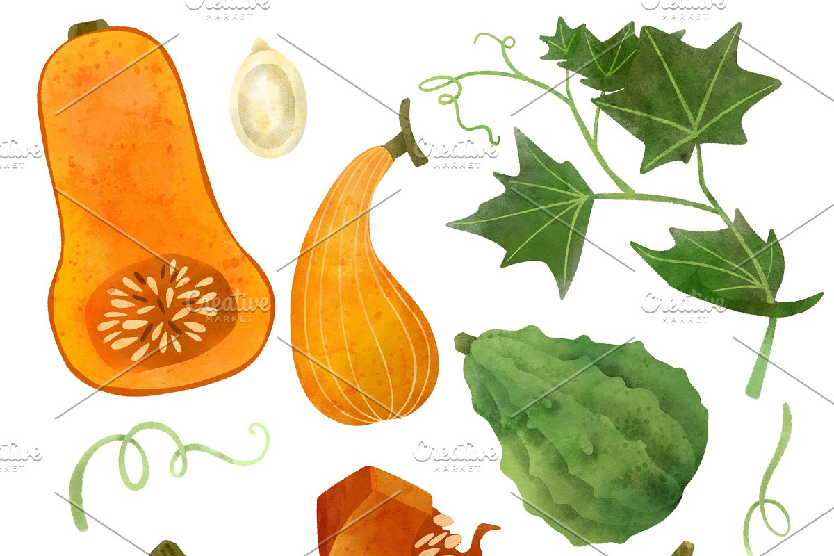 Herbs and design elements - pumpkins, salads, eggplant, tomatoes.