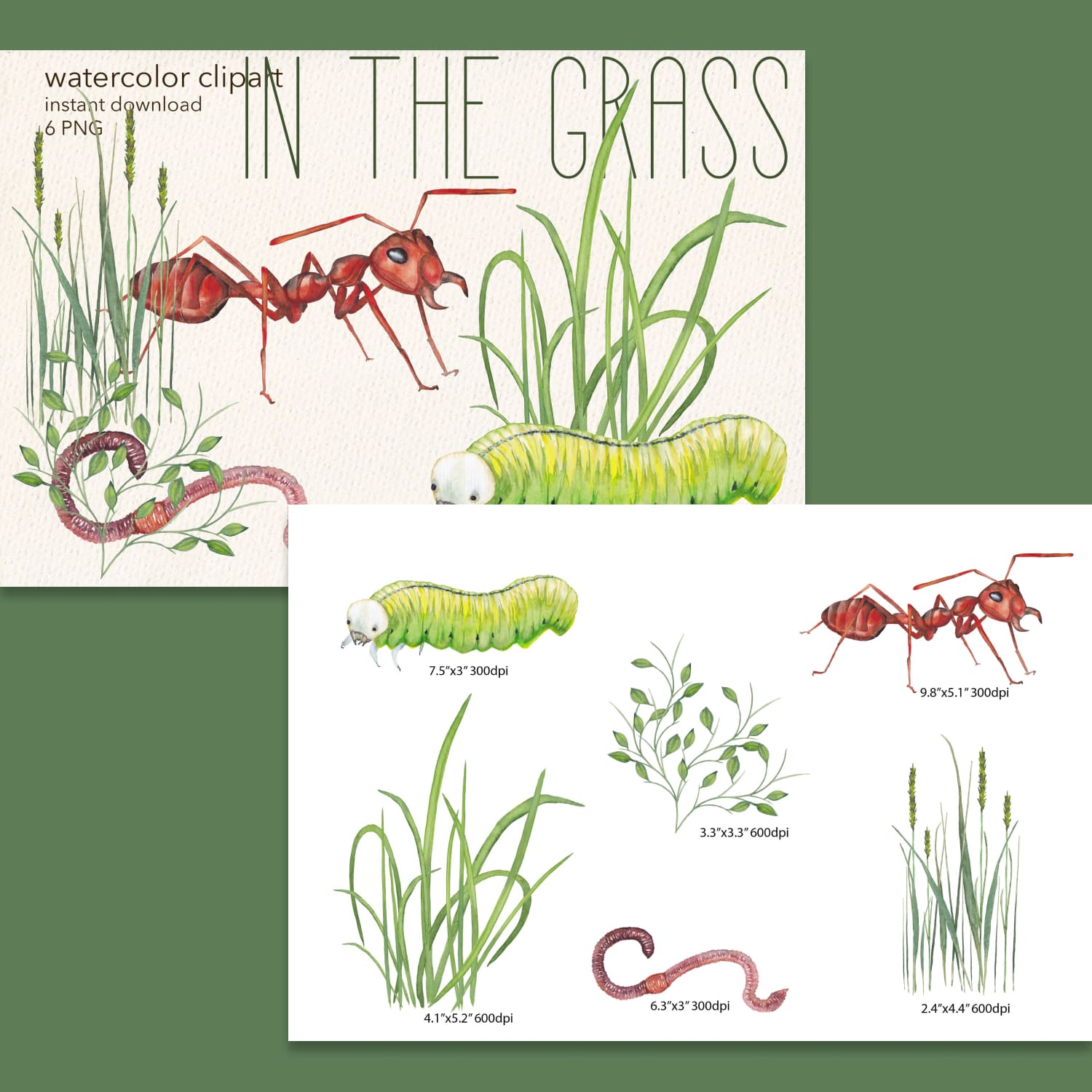 Insects watercolor clipart Insect sublimation Digital PNG cover.
