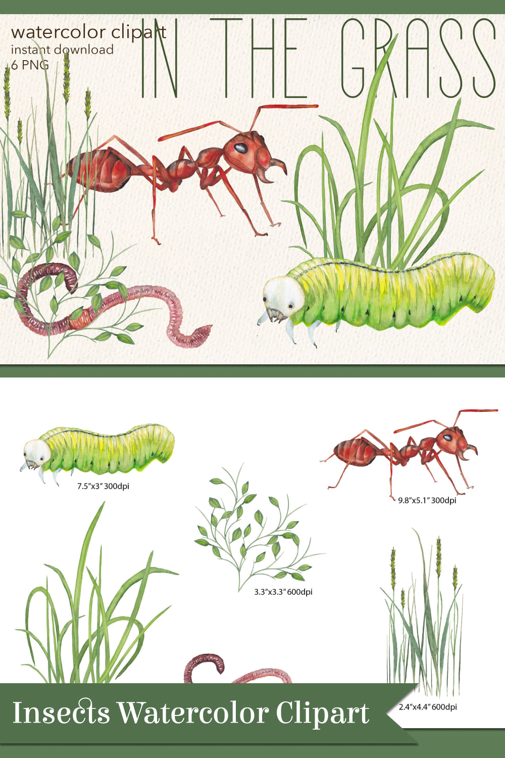 insects watercolor clipart 04