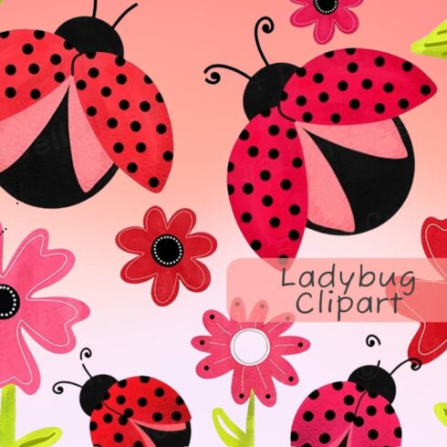 Ladybug clipart - main image preview.