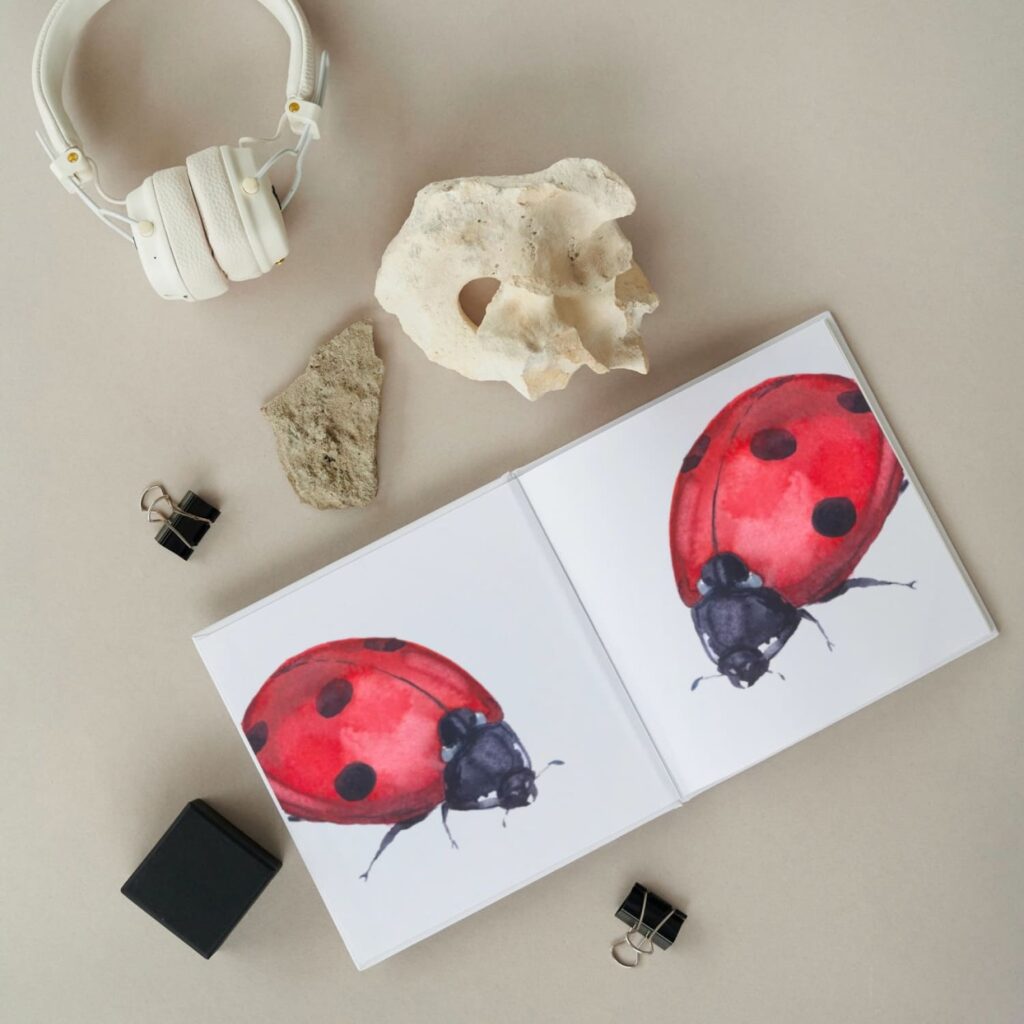 Watercolor Clipart. Insect Clipart. Ladybug Art – MasterBundles