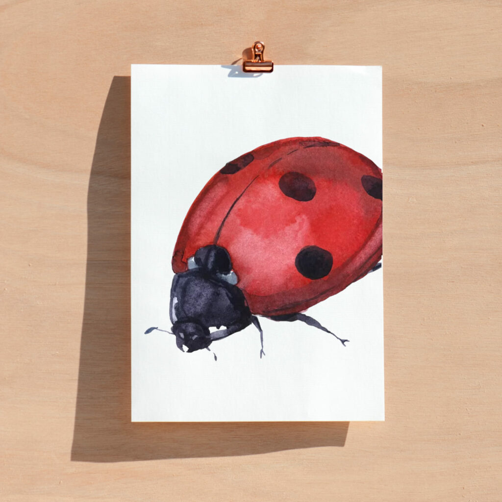 Watercolor Clipart. Insect Clipart. Ladybug Art – MasterBundles