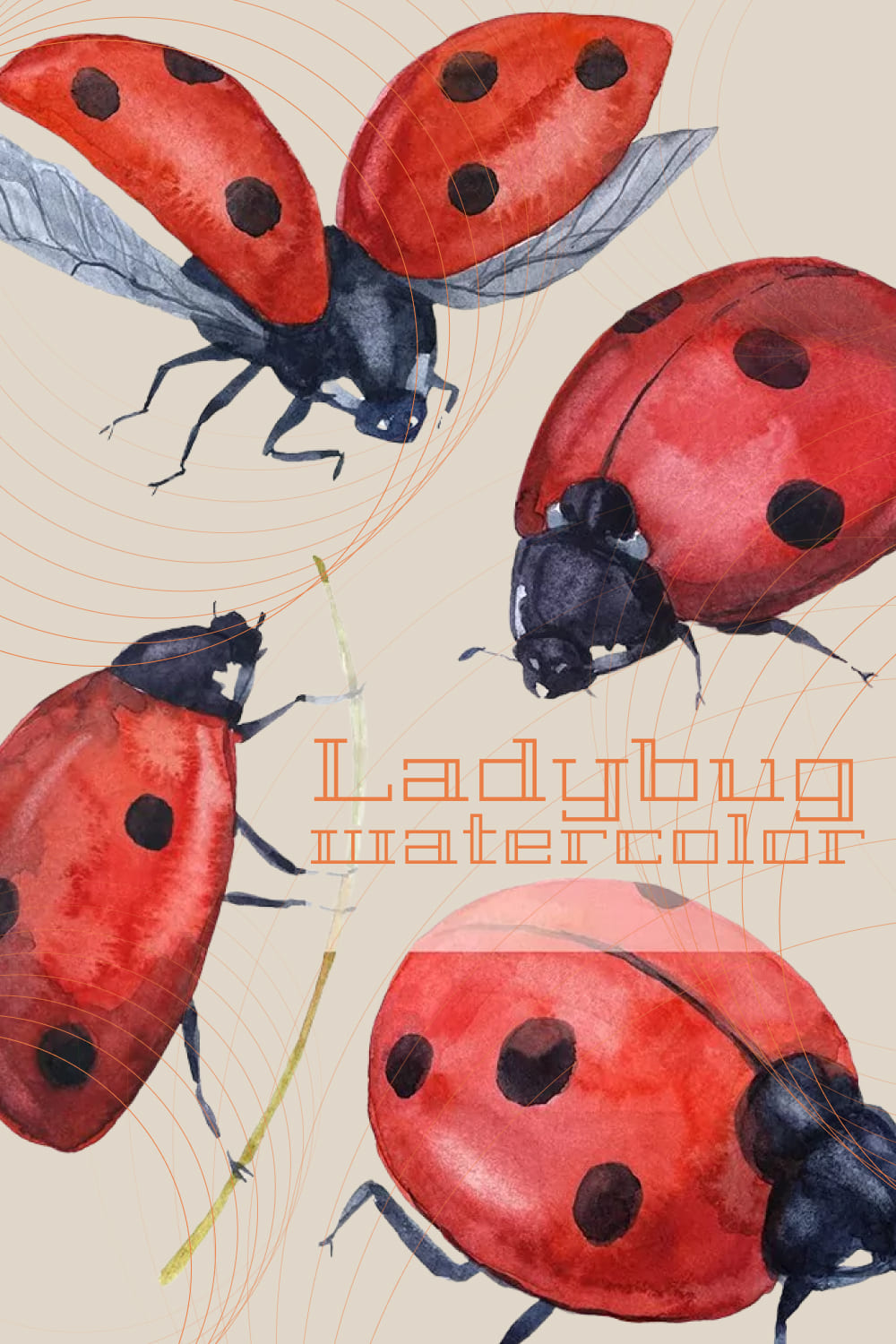 Ladybug watercolor - pinterest image preview.
