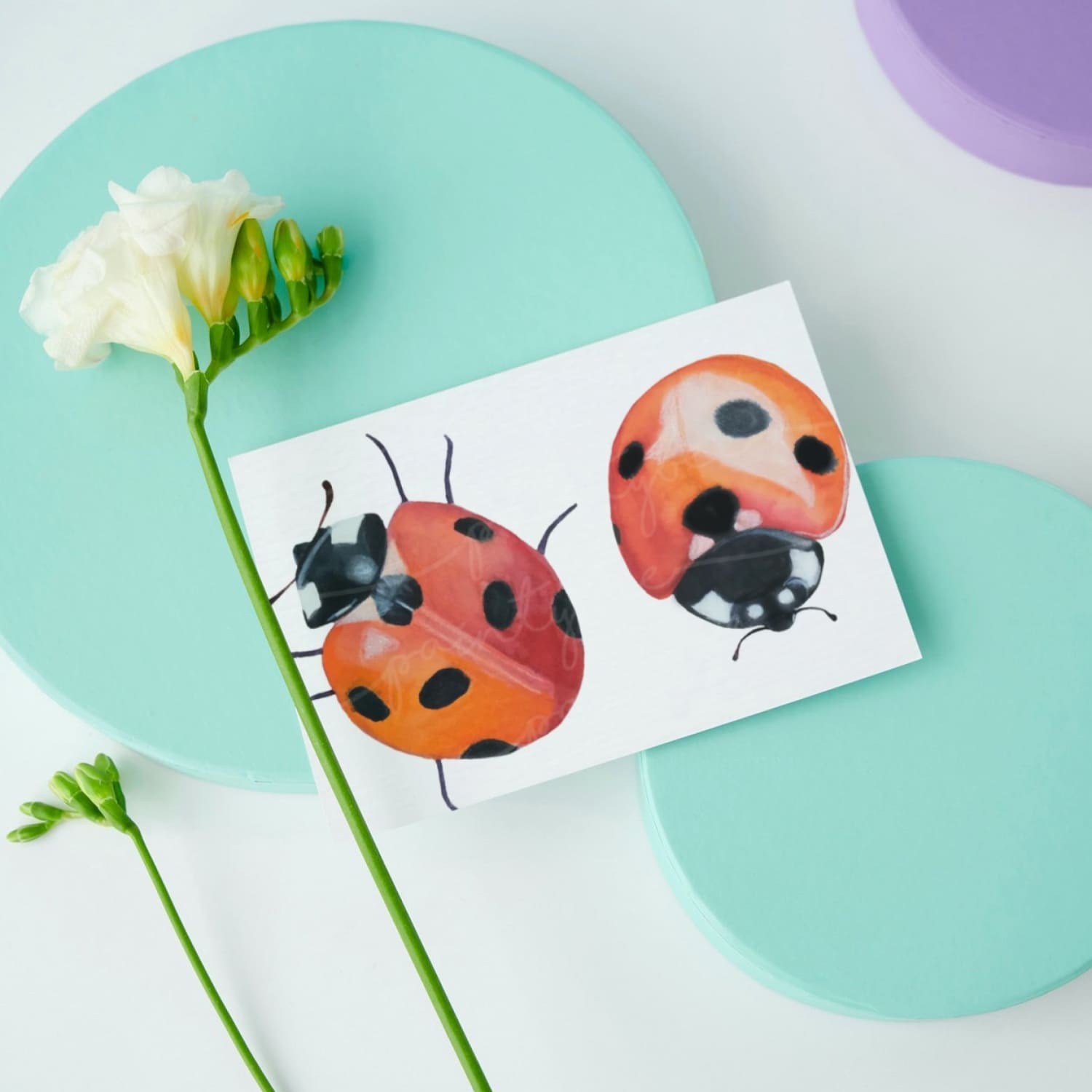 Ladybug watercolor clipart Created By Paintybees-Watercolor Clip Art Graphics.