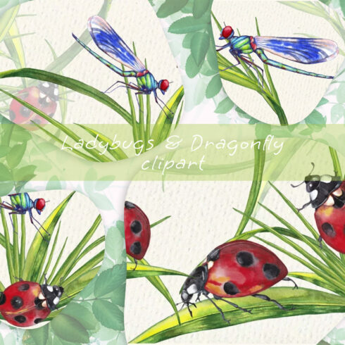 Ladybugs dragonfly clipart - main image preview.