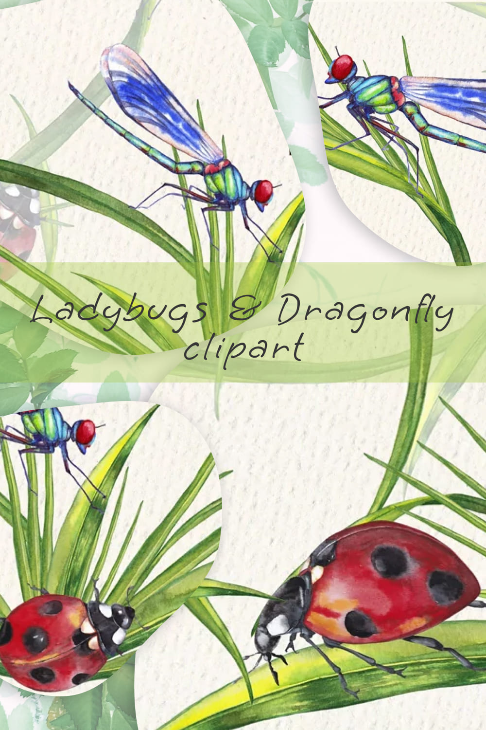 Ladybugs dragonfly clipart - Pinterest image preview.