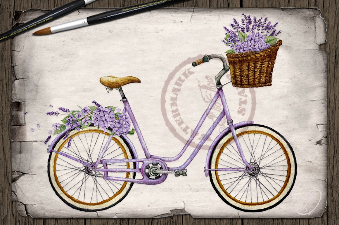 Vintage bicycle with lavenders.
