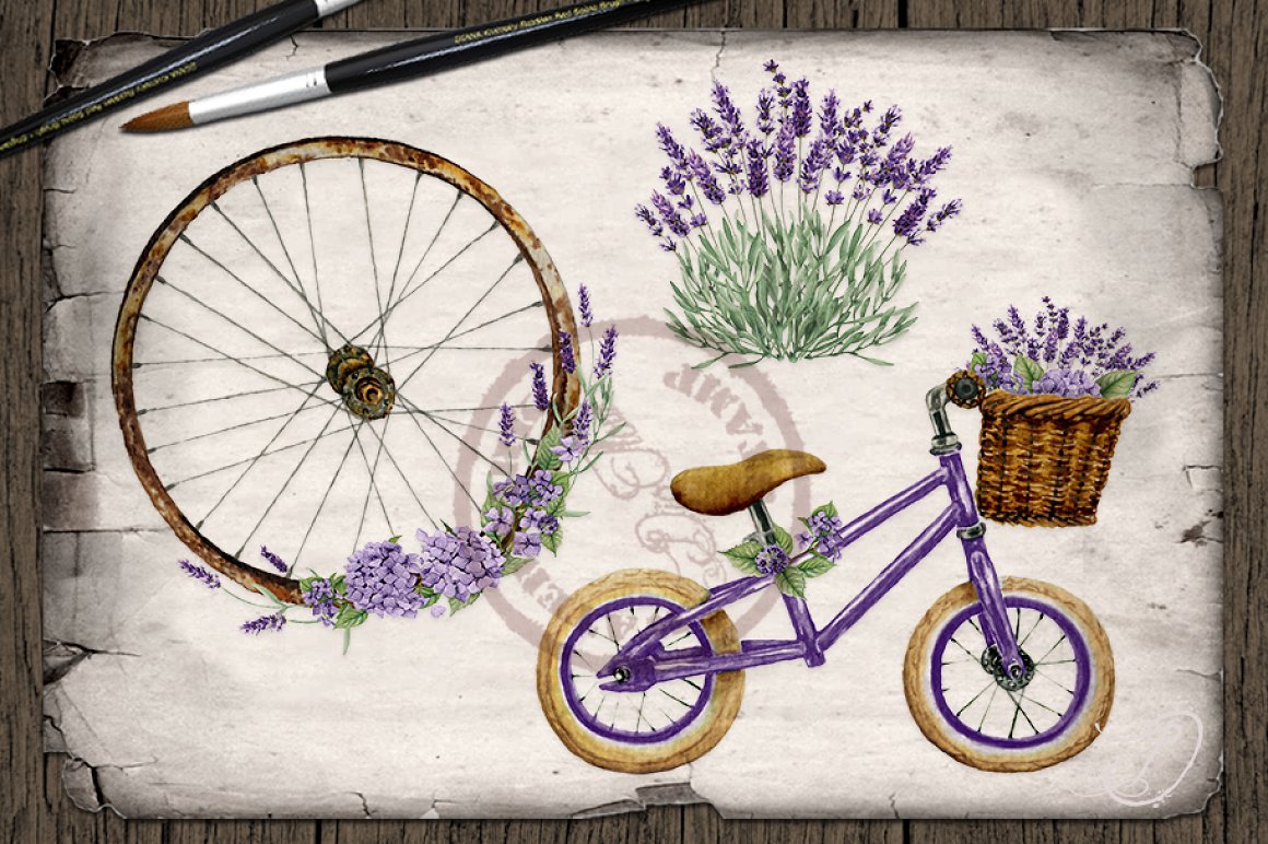 Old paper with lavender and bicycle. d