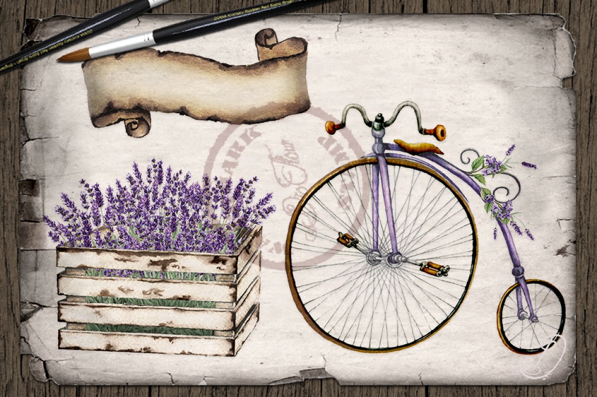 Nice elements for cool vintage lavender illustration.