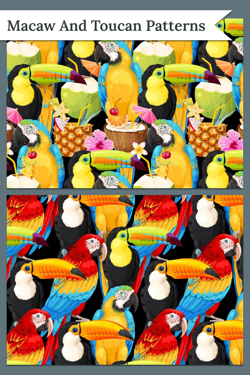Macaw and toucan patterns - pinterest image preview.