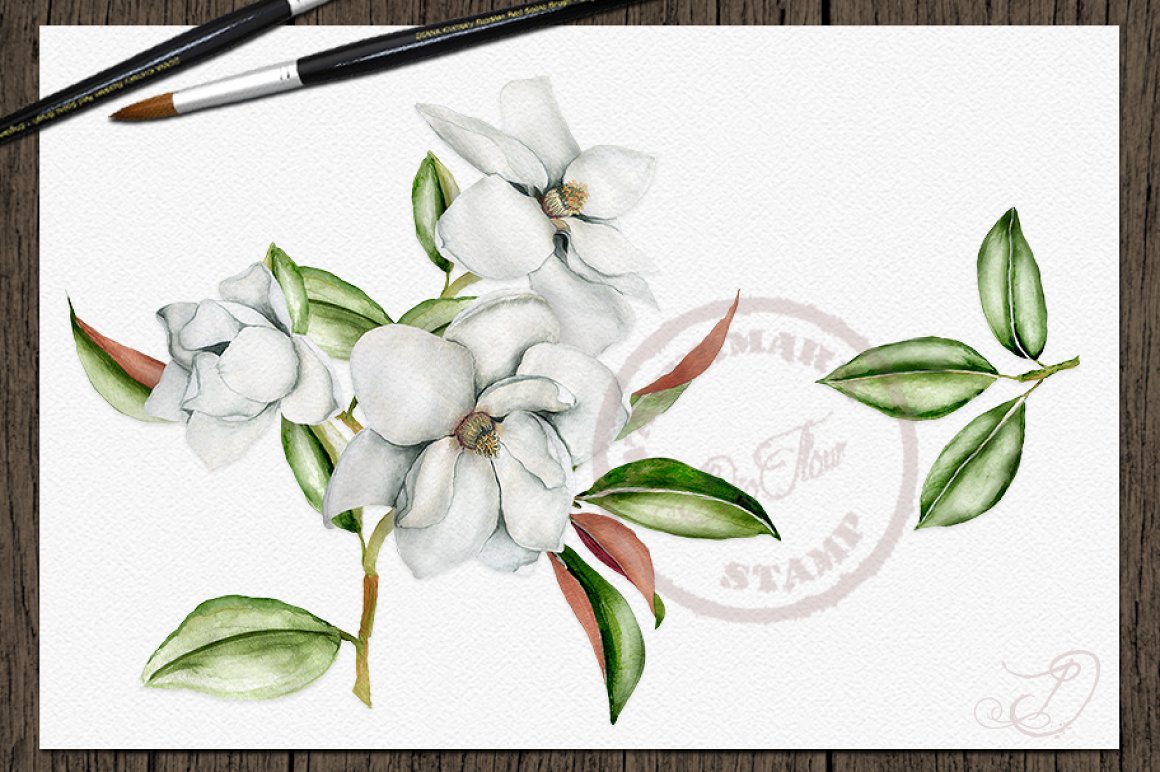Delicate magnolia for your bouquet.