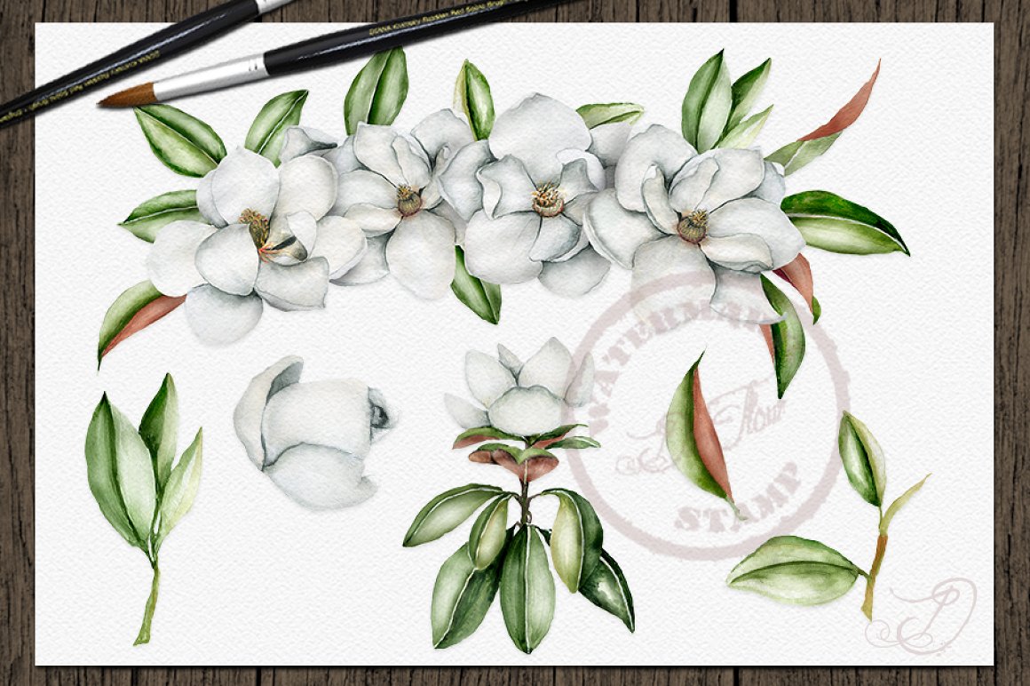 Watercolor magnolia for your brand.