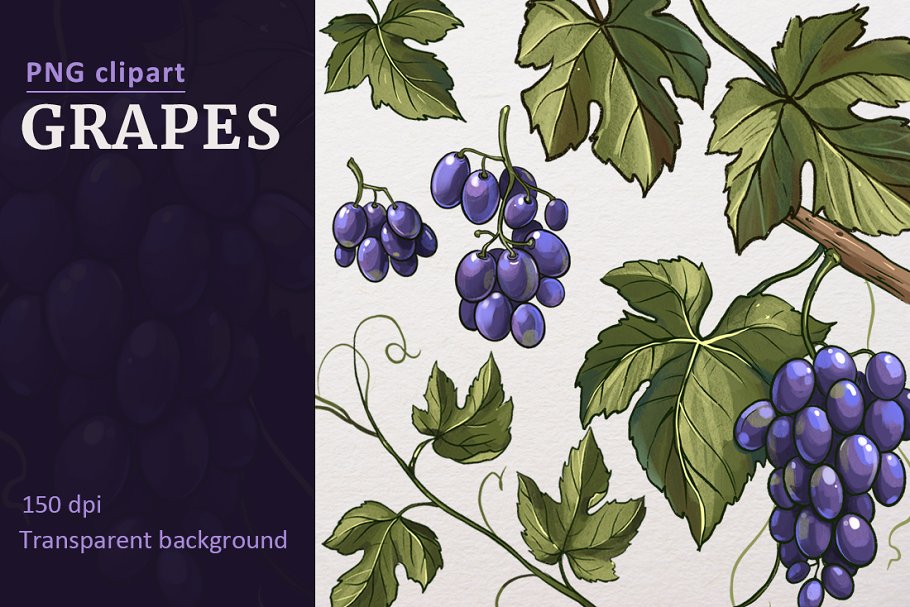 Cover image of Grapes. PNG clipart.