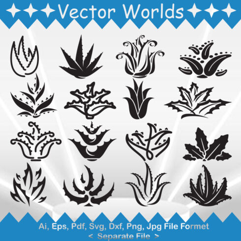 Aloe Vera SVG Illustration Cover Image.