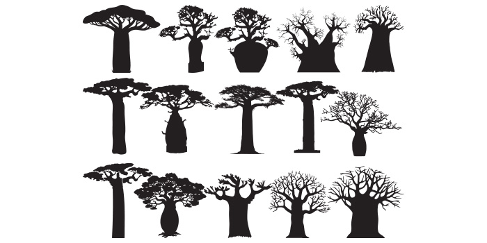 Baobab Tree SVG, PNG, EPS, AI, PDF, DXF facebook image.