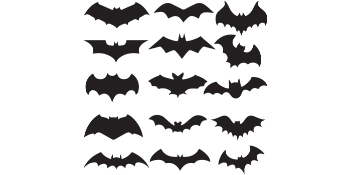Bunch of bats on a white background.