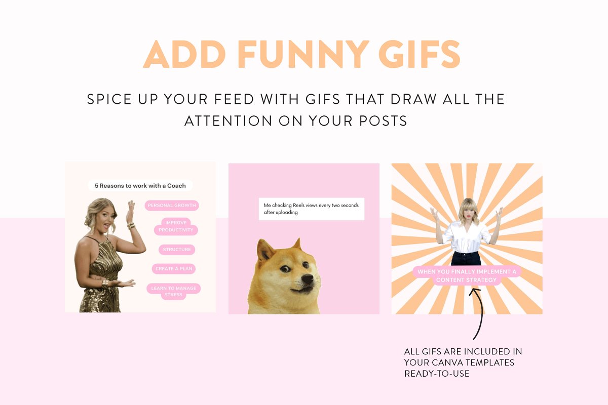 Spice up your feed with gifs.