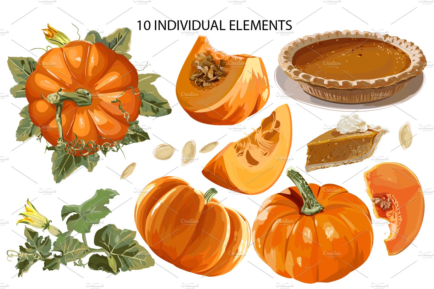 Individual elements for pumpkin illustration.